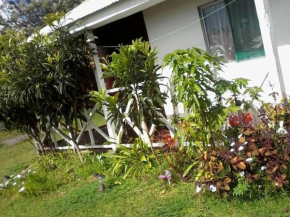 Honu Rapanui ethnic cabins